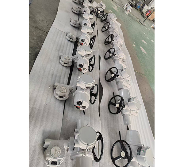 DM系列电动执行器